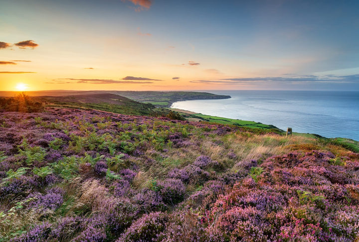 Discover the varied and beautiful North York Moors National Park
