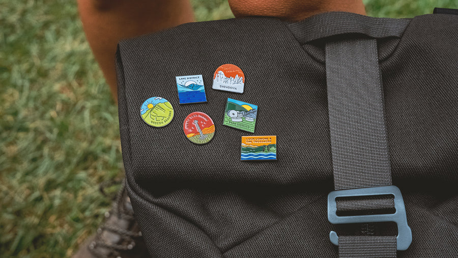Dartmoor pin